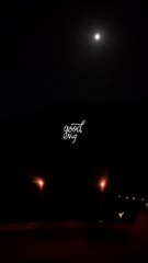 Παντζόπουλος: Το βίντεο από την ρομαντική βραδιά του με την Μενεγάκη