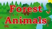 Learn Forest Animals – Sounds for kids, children, babies and toddlers – Best Learning For Kids