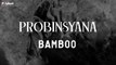 Bamboo - Probinsyana - (Official Lyric)