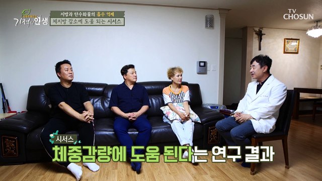 하늘이 내린 식물! 다이어트에 도움 주는 ✦시서스✦