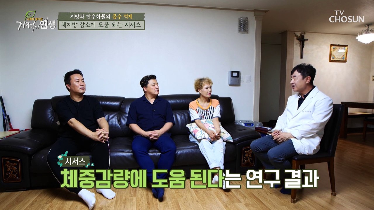 하늘이 내린 식물! 다이어트에 도움 주는 ✦시서스✦