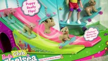 Barbie Doll Club Chelsea Puppy Skateboard & Ramp Dolls for Girls by Funtoys Channel