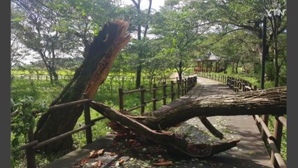 태풍 '마이삭'에 문화재 피해 24건 집계 / YTN