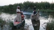 ظاهرة الصيد الجائر يهدد الثروة السمكية في العراق