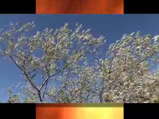 Xcorps Bruneau Sand DUNES