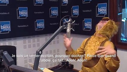 OC Express - Lo Chen