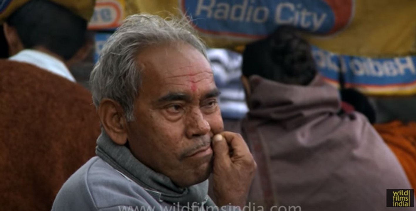 The most disgusting tooth picking ever