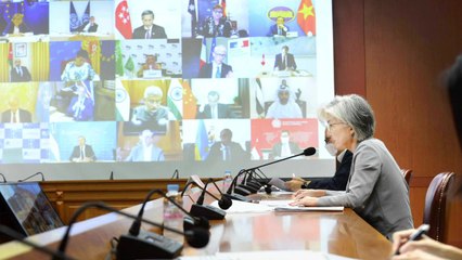 강경화, 화상 G20 회의 참석..."필수인력 이동 허용해야" / YTN