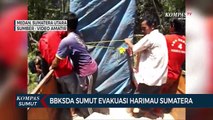 BBKSDA Sumut Evakuasi Harimau Sumatera