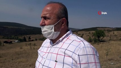 Orman yangınını söndürme çalışmaları devam ediyor