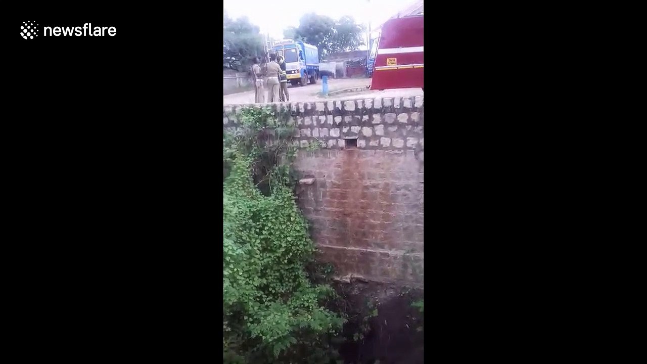 Dog that fell down 60-foot-deep well rescued after three-hour operation in India