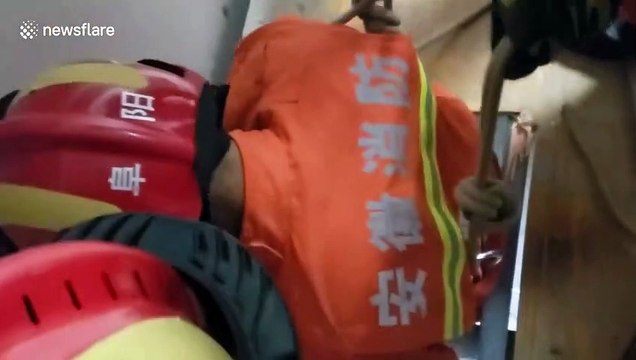 Chinese firemen rescue stray kitten trapped under flat floor for two days