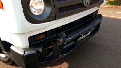 Projeto do Depen fabrica cama e casinhas para cães