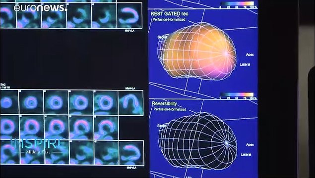 Avec la centrale de Barakah, les Émirats arabes unis se tournent vers l'énergie nucléaire