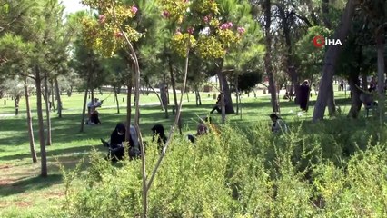 Termometreler 43 dereceyi gördü