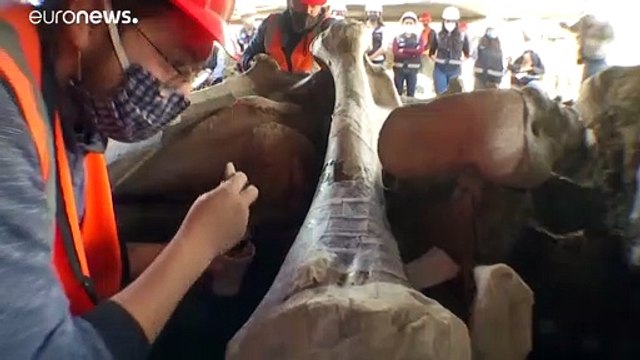 Две сотни мамонтов в аэропорту