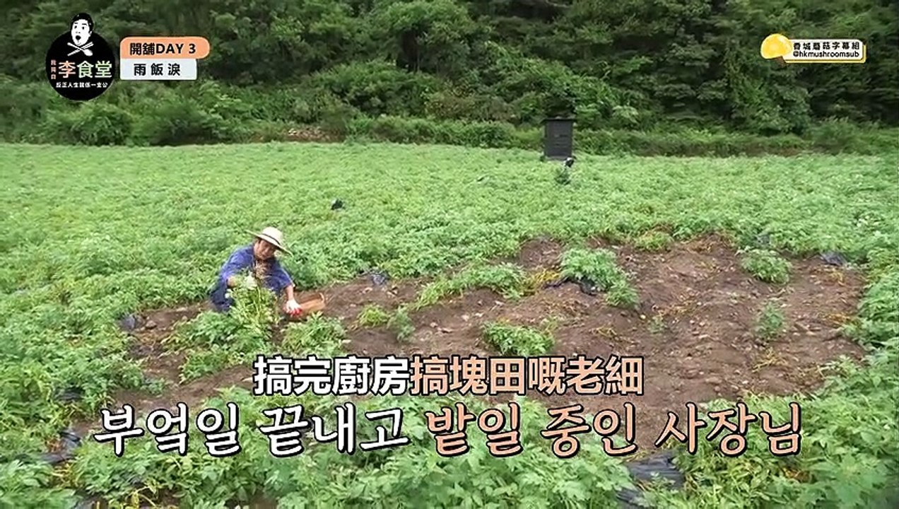 【蘑菇港字】我獨自李食堂 - '李食堂2.0' 更新完成! - EP5-2