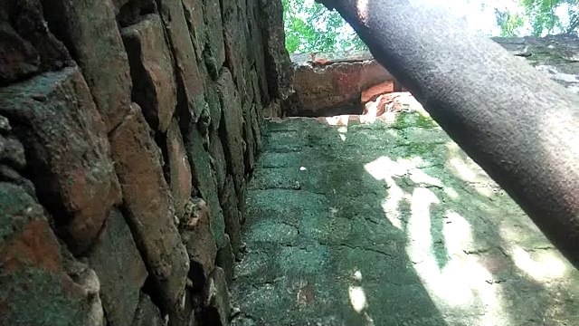 अज्ञात चोरों ने नकाब लगाकर किया लाखों पर हाथ साफ