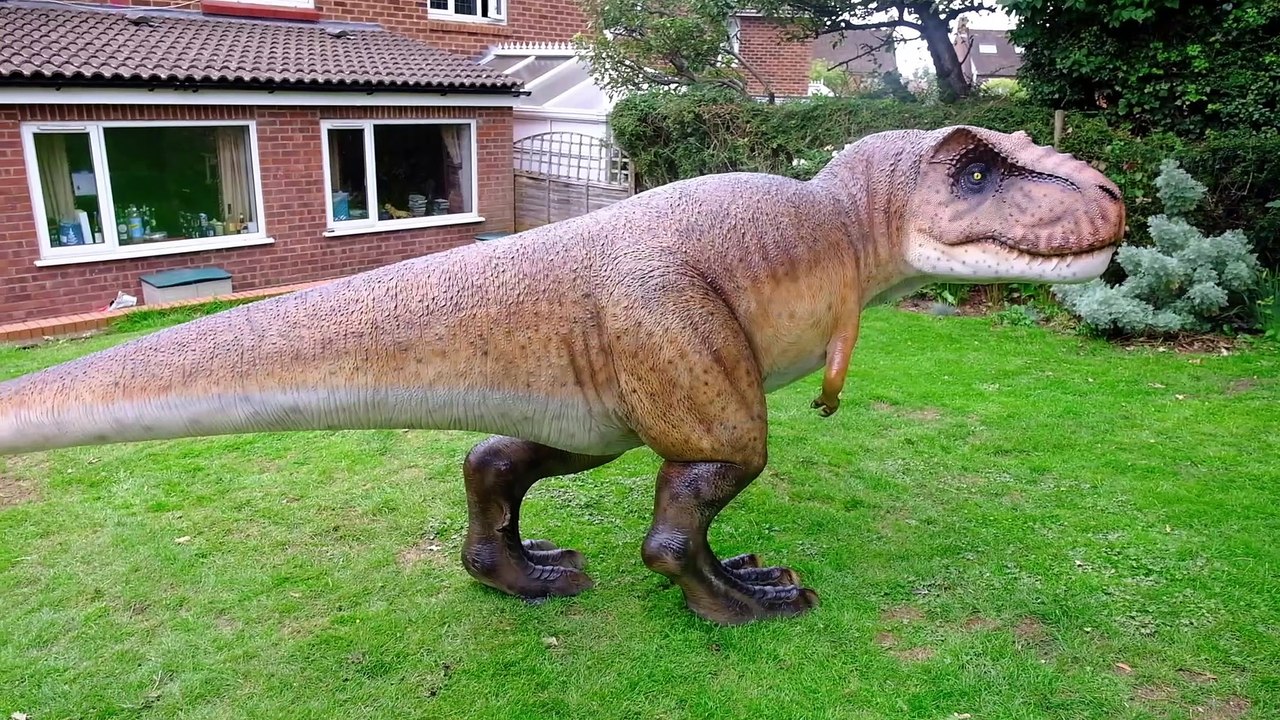dinosaur