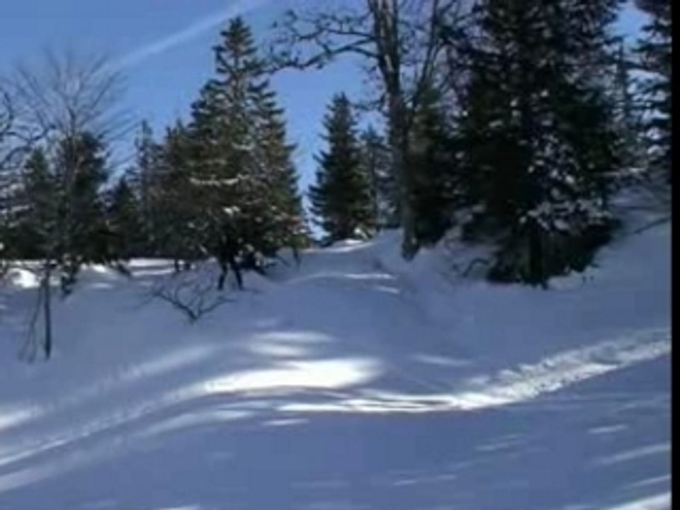 Le nordique c'est fantastique !