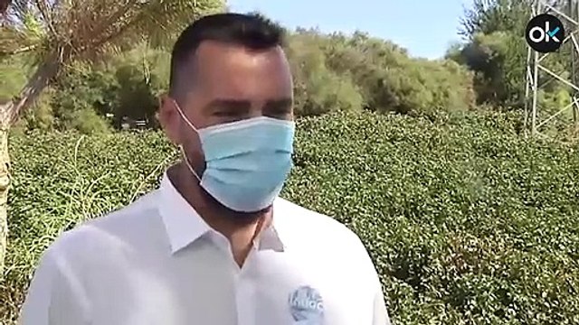 Tres guardias civiles recibidos a tiros tras descubrir una plantación de marihuana