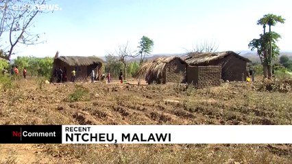 Ratones contra la hambruna