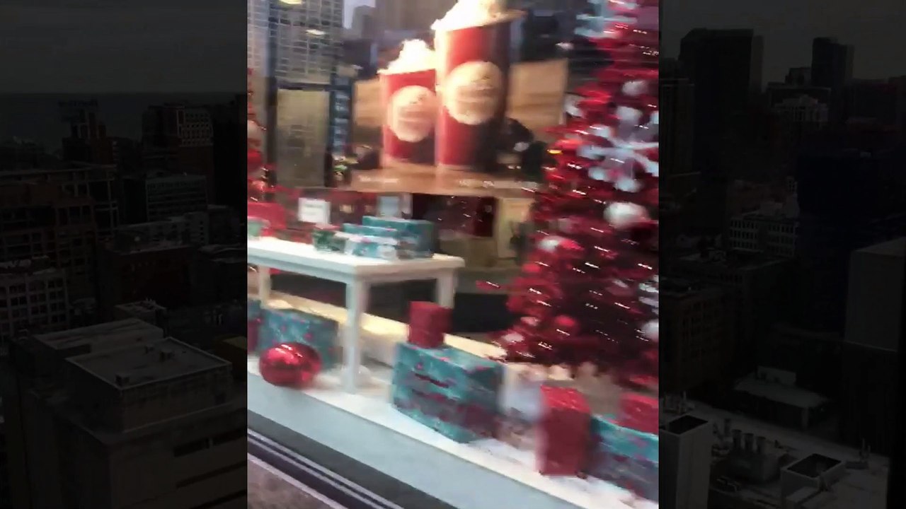 Chicago Tour 2020 Part 3