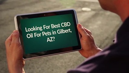 Best CBD Oil For Pets in Gilbert, AZ - Celestial Stem