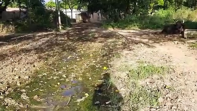 सीतापुर: ग्राम पंचायत में जमकर हुआ भ्रष्टाचार, अधिकारी बैठे मौन