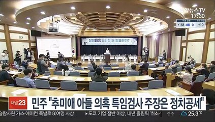 민주 "추미애 아들 의혹 특임검사 주장은 정치공세"