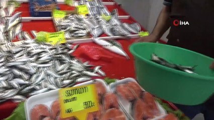 Asma yaprağında sardalyanın lezzetine doyum olmuyor