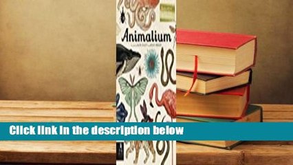 Full version  Animalium  Review