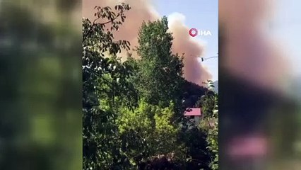 Samandağ’da korkutan yangın