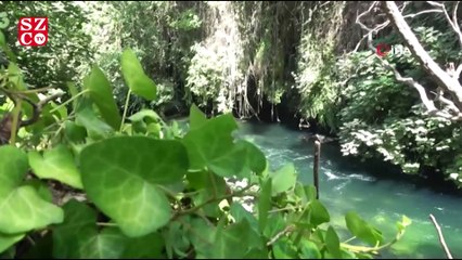 Dünyaya kabusu yaşattılar, Antalya'yı gübreleriyle yeşile doyurdular