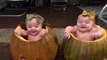 Funny Twins Baby Arguing Over Everything