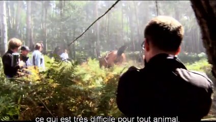 Cheval de guerre (2012) - Bande annonce