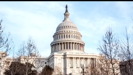 ¿Puede Trump designar al movimiento Antifa como organización terrorista?