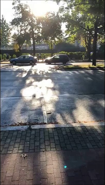 Berlin-Neukölln Buckower Damm