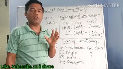 Classical Conditioning Theory Of Pavlav