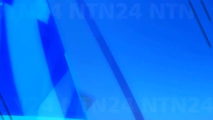 Ingeniosa forma de refrescar a animales en zoo de roma