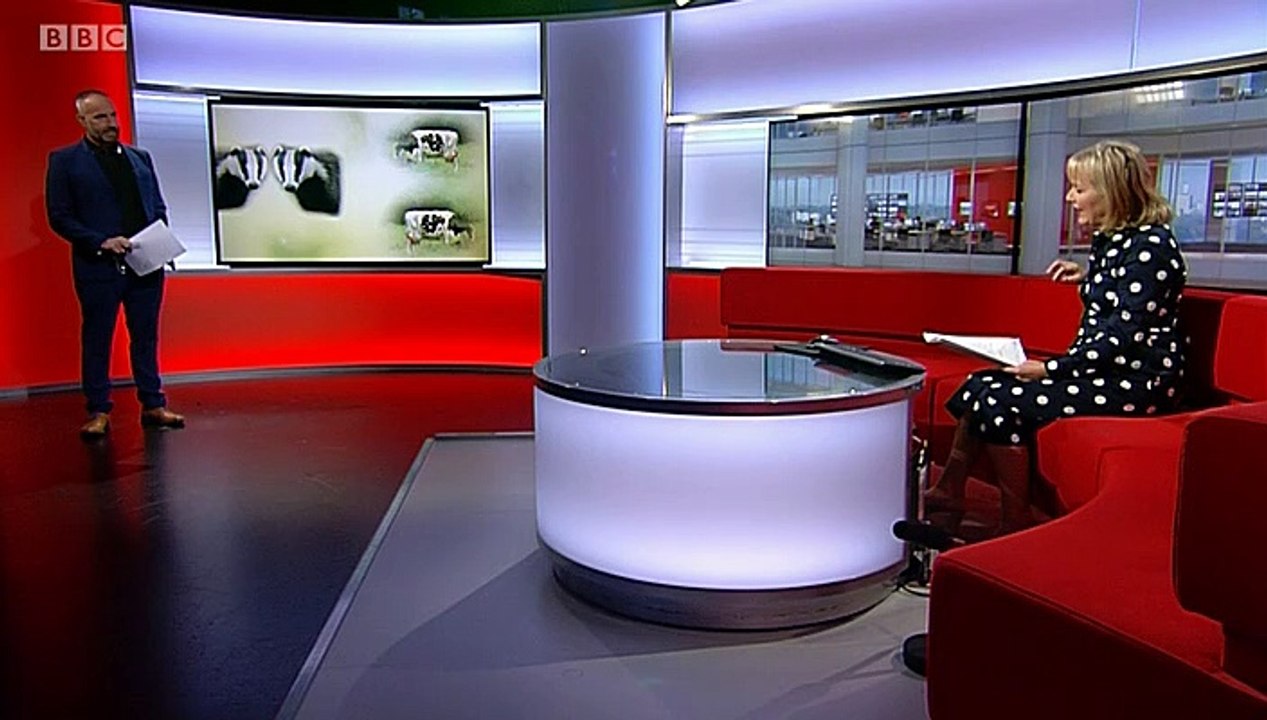 BBC1_ Midlands Today 8Sep20 - the badger cull is coming to Warwickshire