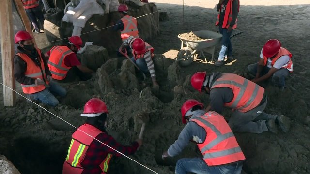 Esqueletos de mamuts quedan al descubierto durante construcción de aeropuerto en México