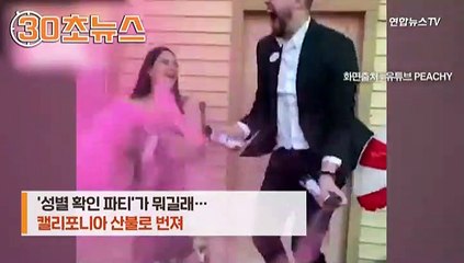 [30초영상] '성별 확인 파티'서 불꽃놀이…캘리포니아 산불로 번져