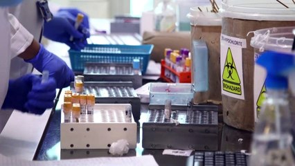 Скачать видео: AstraZeneca anuncia pausa en ensayos clínicos de su vacuna contra covid-19