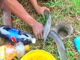 Experiment: Fanta, Pepsi and Mentos vs Fish and Snake in Underground Hole | Animal Trap
