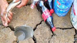 Experiment : FISH Vs Coca Cola Vs Mentos To Catch Alot Of Fish From Hole | Animal Trap