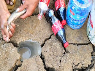 Download Video: Experiment : FISH Vs Coca Cola Vs Mentos To Catch Alot Of Fish From Hole | Animal Trap