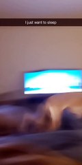 Doggy Does Excited Laps at 1 AM