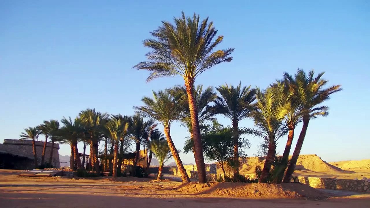 The Sumerians - Fall of the First Cities part.1