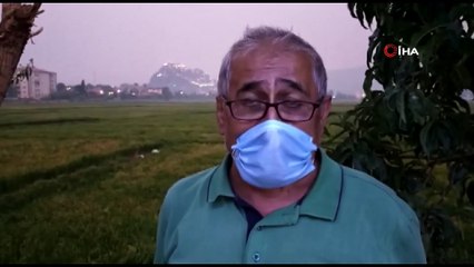 Orman yangınındaki dumanlar Osmancık’a ulaştı